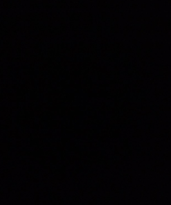 PURE BLACK