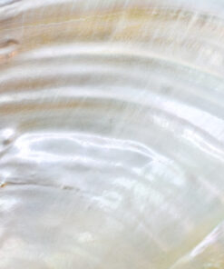 MOONSTONE