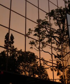 SCENE MODERNE